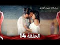 مسلسل الطائر المبكر الحلقة 14 Arabic Dubbed 