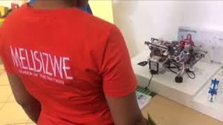 Melisizwe Computer Project - Sustainability Programme