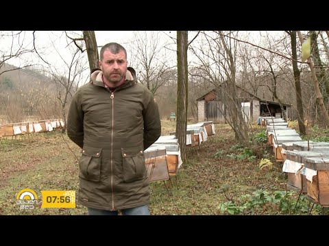 #ახალიდღე მინდია ქავთარაძე - ახალგაზრდა ფერმერი ვანიდან