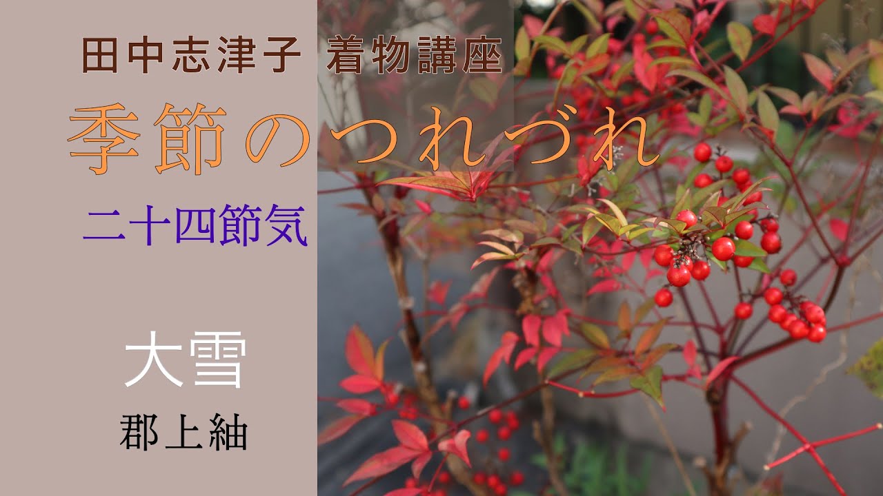 ☘️早い者勝ち☘️【国宝品】○岐阜県無形文化財【郡上紬】○