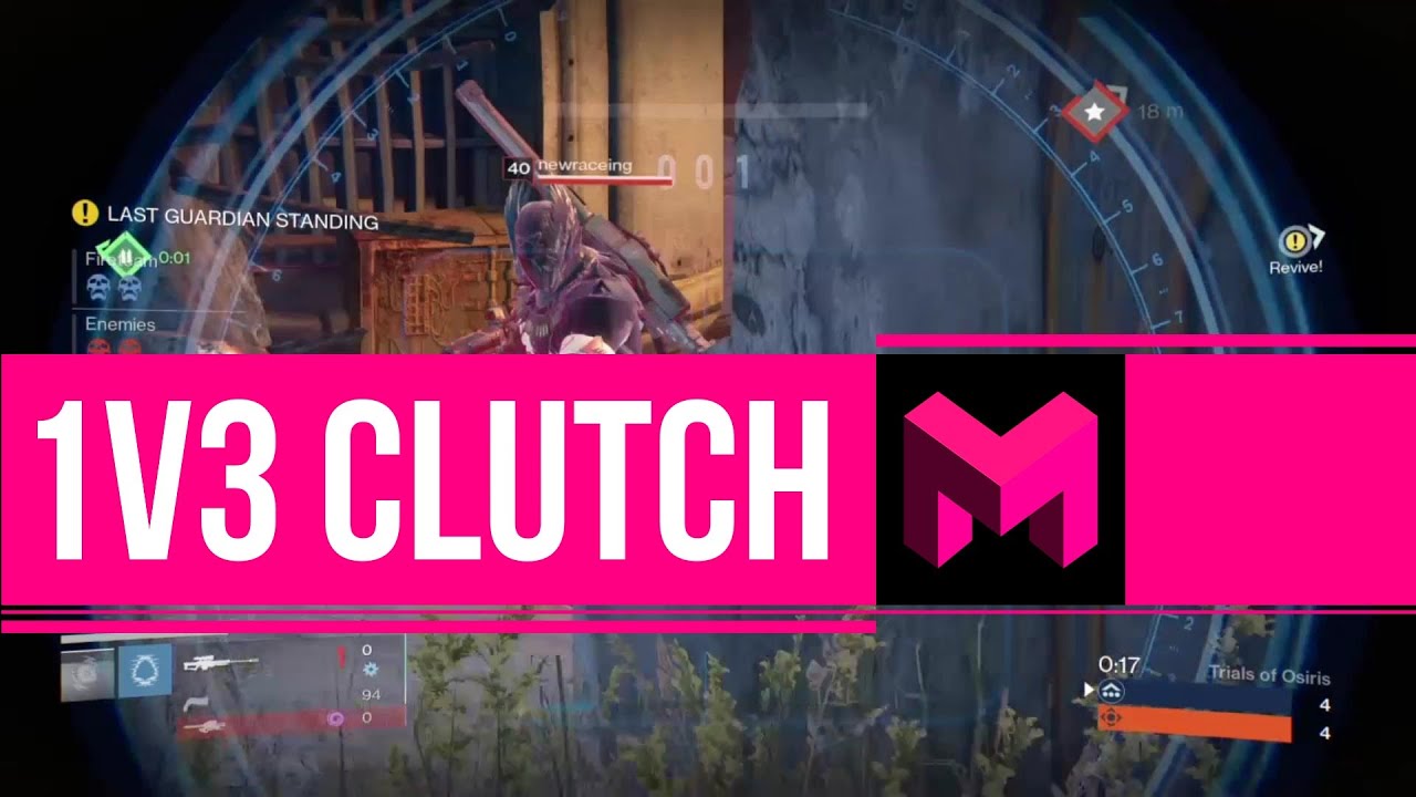 The Best Clutch of my Life: Amazing Snipes