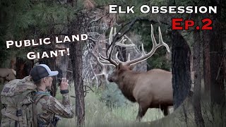 ELK OBSESSION EP2: GIANT NEW MEXICO BULL!