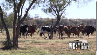 Red Steagall is Somewhere West of Wall Street  Texas Longhorns