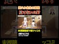 にょろちゃんって自分のことが一番好きだもんね^^ #vvvv学院 #渋谷ハル #vtuber #shorts