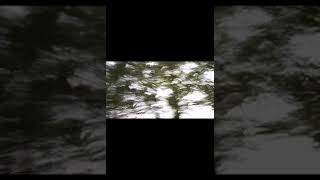 Waves S S   Ecstasy Film   Visual Experimental Dreams  Sleepy  automobile chinaride cycling