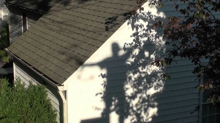 Bow Hunt Ground Hog Kill #4