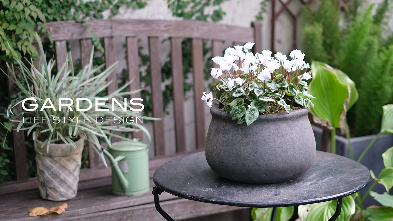 フラワー・ガーデニング chamama Kokedama Workshop (Private Party) – Live Long And Plant