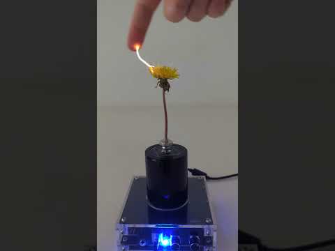 Tesla Flower Coil
