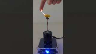 Tesla Flower Coil