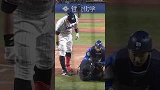 Umpire hit in the head by an errant backswing