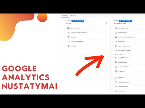 Google Analytics nustatymai