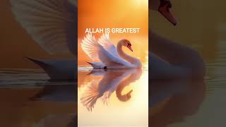 Listen 🎧🎧 Quran Carefully and Learn Quran Daily Basis thanks. God Bless Him.