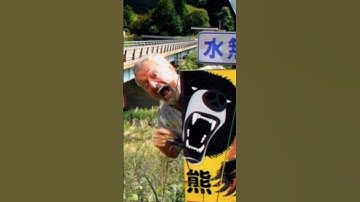 A foreigner who became a bear⁉️熊になっちゃった外国人⁉️ #bears #熊