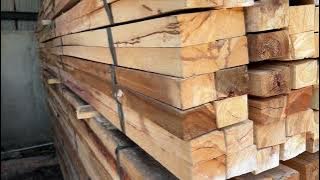 Harga Kayu kaso 5x7 super