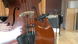 Using A Shure Sm57 With An H-Clamp To Amplify A Double Bass - Quick Video As A Reply To A Comment