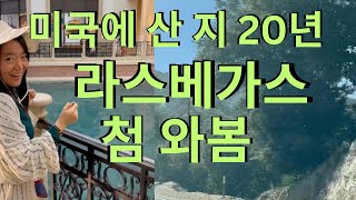 20년 가까이 미국살면서 라스베가스 첨 와본 자의 블로그