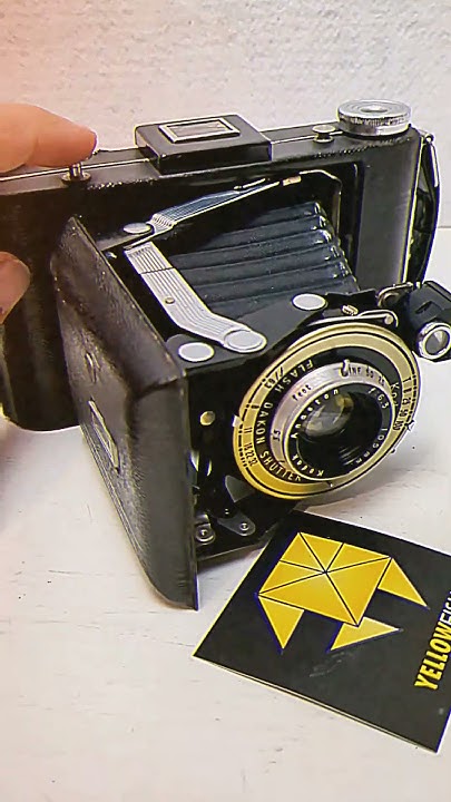 Act Now: 133 Year Old Kodak Needs Your Help To Survive - geppjwg