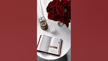 احترم القرآن الكريم وأكتب شيئا تؤجر عليه #عبدالرحمن_مسعد #صلى_ع_النبى