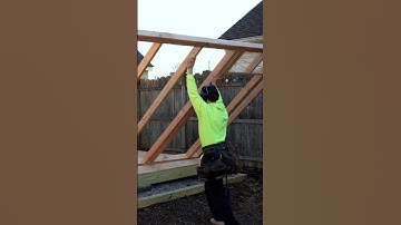 Easy Shed Build Part 2- Framing Walls and Roof #shorts