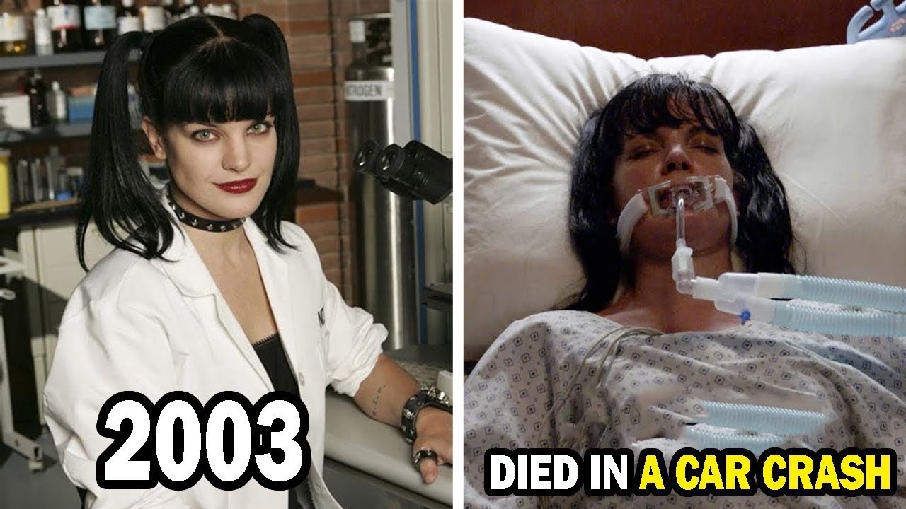 NCIS (2003) Cast: Then and Now 2026, Who Have Tragically Passed Away?