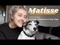 Dog vlogs  ep 1 welcome to dog vlogs  matisse the jack russell
