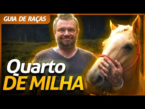 Vídeo: Raça De Cavalo Holstein Hipoalergênico, Saúde E Vida Útil