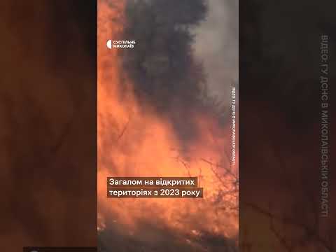 Лісові пожежі на
