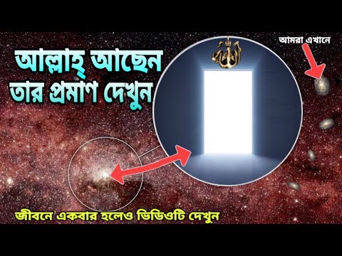 ভিডিও: ড্যান ক্যাল্ডওয়েল নেট ওয়ার্থ: উইকি, বিবাহিত, পরিবার, বিবাহ, বেতন, ভাইবোন