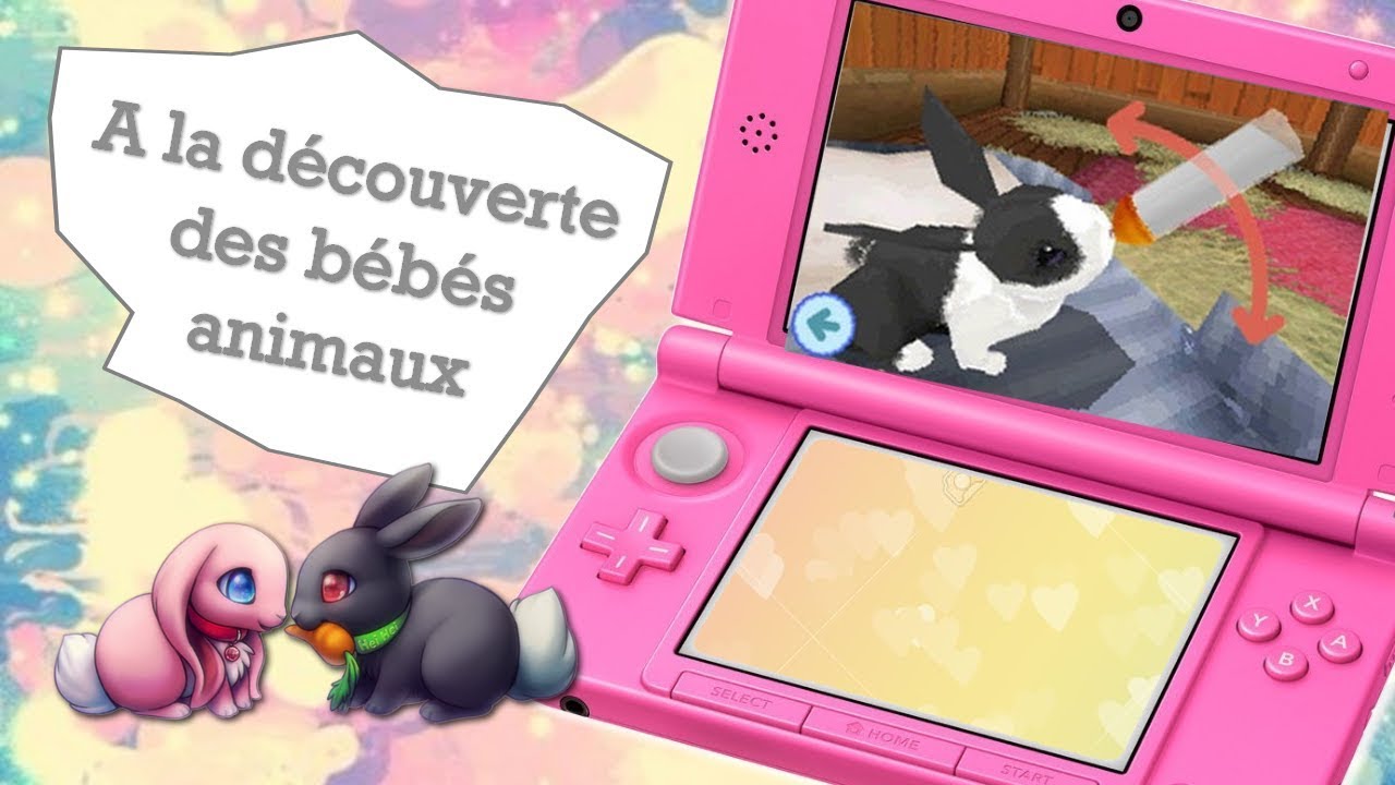 Jeux Ds A La Découverte Des Bébés Animaux Youtube
