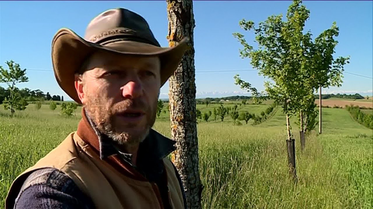 Les agriculteurs du Gers pionniers en agroforesterie