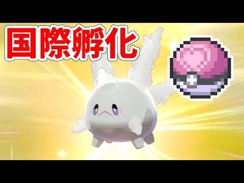 ポケモン剣盾 国際孵化 夢色違いガラルサニーゴを粘る ポケモンソード シールド Youtube