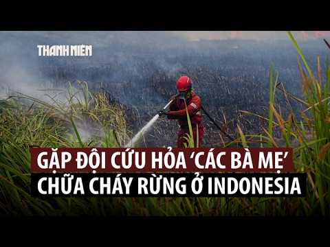 "Firefighter moms" unite to battle massive wildfires in Indonesia
