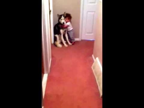 Baby scared of vacuum runs to dog for protection