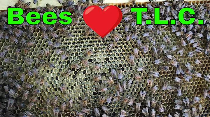 Saving a Tiny fall Swarm