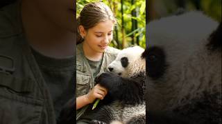 Cute panda  🐼 eating bamboo 🥦  #animals #shorts #Zenmotion Ai #youtube shorts