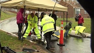 College Students Save 4 Kittens Trapped In Drainpipe as Heavy Rain Pours Down