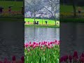 938_0_009-我上早八 MC药材_981
