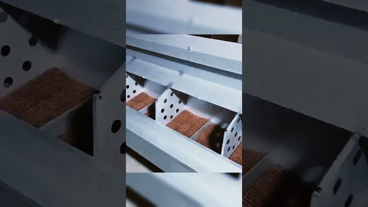 Automatic egg collection box