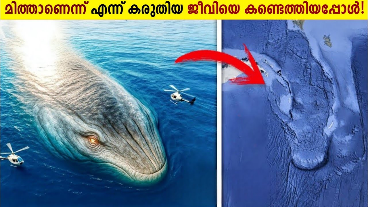 ശാസ്ത്ര ലോകത്തെ ഞെട്ടിച്ച കണ്ടെത്തലുകൾ!😱Terrifying Mythical Creatures That Can Be Existed | Storify