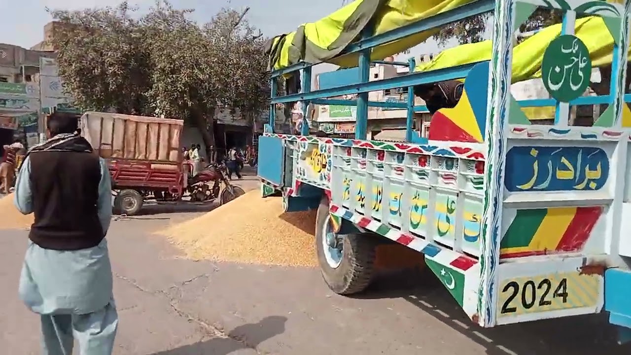 Makki rate 3400 pakpattan Galla Mandi 
