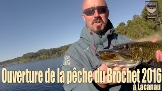 Ouverture de la pêche du Brochet 2016 à Lacanau Gopro HD