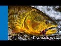 Tsimane 3X - Fly Fishing For Golden Dorado in Bolivia