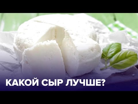 Коровий или козий: выбираем ПОЛЕЗНЫЙ СЫР