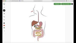 PostScript login demo and explanation of topical therapy for proctitis.