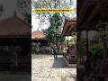 Flying abhay at ubud place in bali indonesia  shorts travel bali