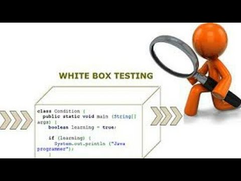 Challenges in White Box Testing