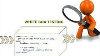 Challenges in White Box Testing