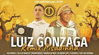 LUIZ GONZAGA - REMIX PISADINHA ( LUIZ O PODEROSO CHEFÃO , DJ EDY )