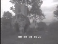Prošetajte Parkom čudovišta (FOTO, VIDEO)