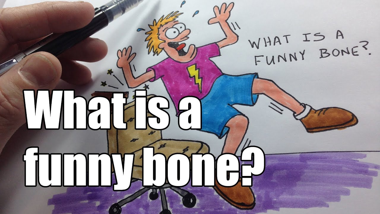 Funny bone. Funny Bone is. To have a funny Bone. Funny Bones illustration.